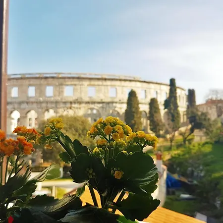 Ade Arena View